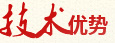 技術優勢