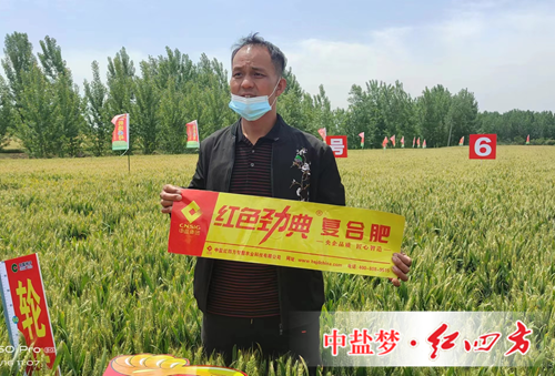 施用快猫成人APP下载複合肥 豐收故事說不停